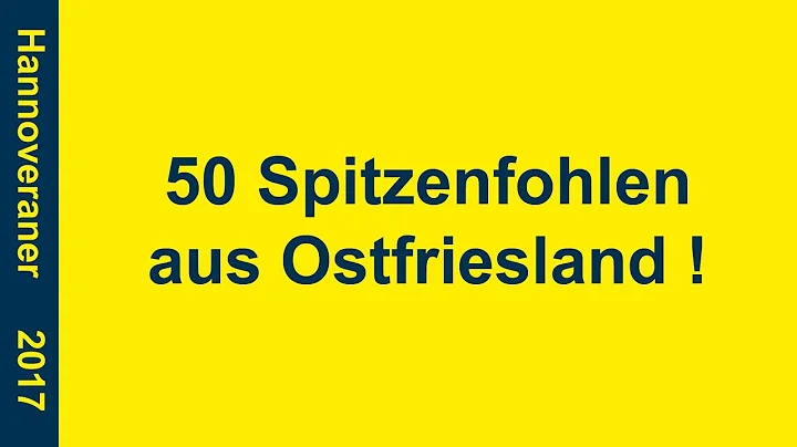 14. Ostfriesische Fohlenauktion im RTC Timmel