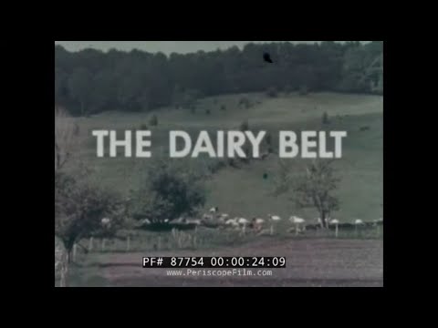 " THE DAIRY BELT "  1963 EDUCATIONAL FILM   MILK, CHEESE PRODUCTION   NEW ENGLAND & MIDWEST 87754