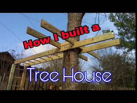 Vídeo: Com construir una casa en l'arbre