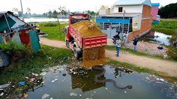 Wonderful New Landfill Project! Using Dozer D20P Pushing Stone Delete Flooded Area with 5Ton Truck