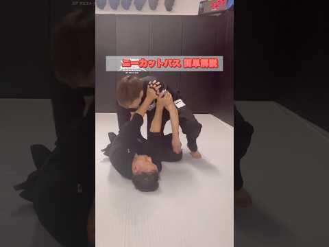 【ニーカットパス簡単解説】 #グラップリング #格闘技 #ブラジリアン柔術 #パスガード #柔術テクニック