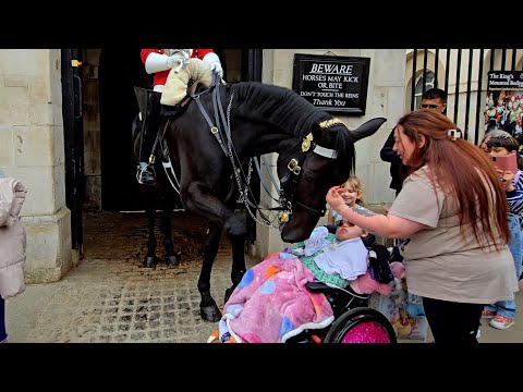 A GENTLE ACT OF KINDNESS: Look at How King's Horse Kisses Her It's as if He's Giving Her a Blessing