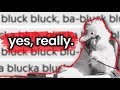 I translated mucka blucka and heres what i found