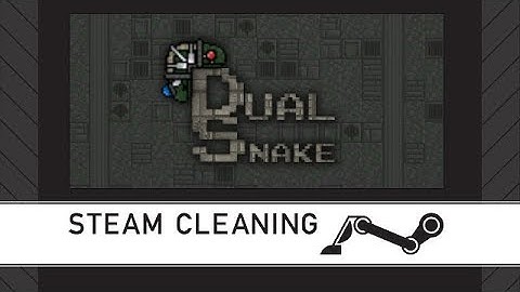 Steam Cleaning - Dual Snake
