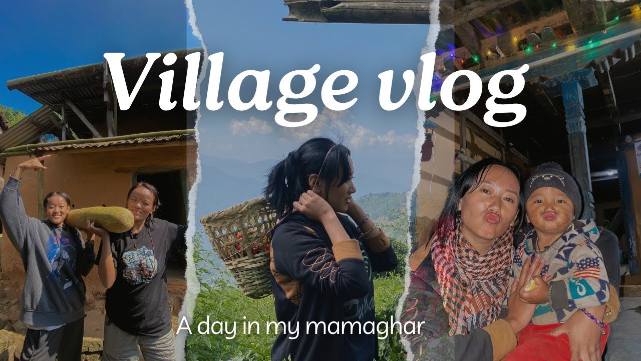 Village Vlog || Buwa ko khursani Baari👌|| A Day in my Life at My ...