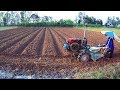 Máy cày tay lên luống lên liếp và đào rãnh nhìn đã mắt / Mini tractor Vietnam