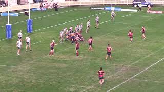 Northern Suburbs V Warringah 2019 Shute Shield Round 14