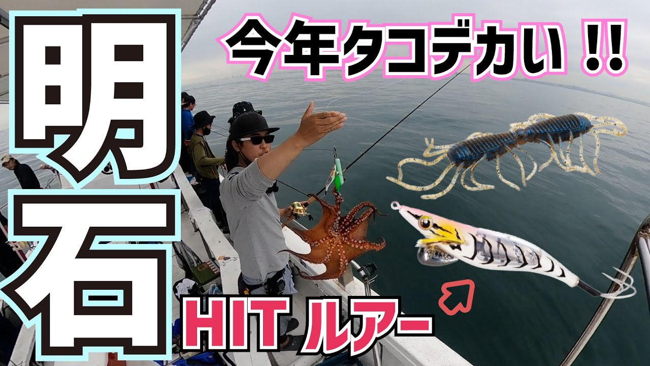 船タコ釣り】バスタックルで楽しんでいたら良型が連発しました【明石