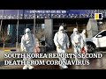 South Korea reports second death from coronavirus as confirmed cases jump to 208