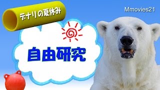 デナリの自由研究~ガス管バランスを研究〜Polar Bear 