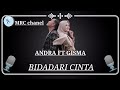 Bidadari Cinta Karaoke Andra Respati Ft Gisma Wandira
