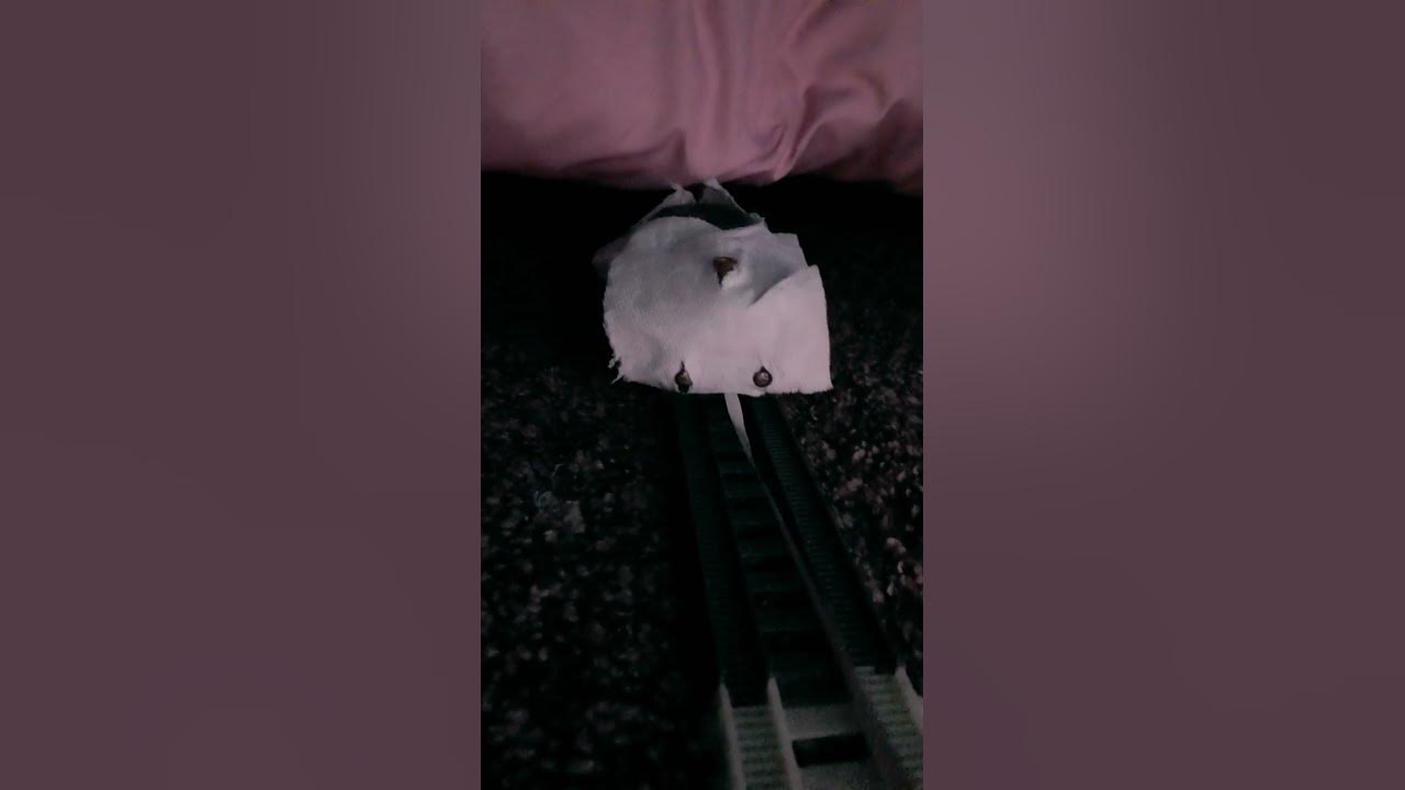 Did the ghost. Did the ghost