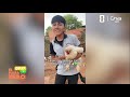 La gallina Reyna juega tres en raya