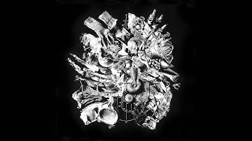 CW/A - Conducting The Method