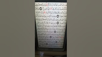 سورة لقمان الآية ١٤