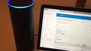 BadgerHome - Ask Alexa where a person is - HomeAssistant Amazon Echo