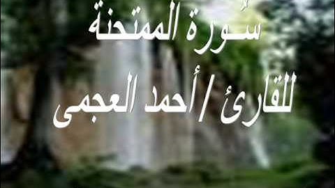 سورة الممتحنة .. للقارئ / أحمد العجمى