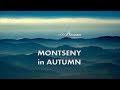 Montseny in autumn  forest soundscapes