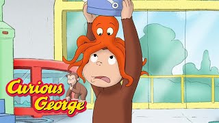 Curious George  George Learns About Sea Animals  Kids Cartoon  Kids Movies  Videos for Kids