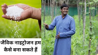 नाइट्रोजन/यूरिया बना | urea/nitrogen making  नाइट्रोजन/यूरिया बना | akash chourasiya