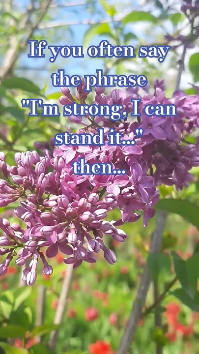What Are You Saying Meaning nature healing women psicologia what-are-you-saying-meaning-nature-healing-women-psicologia