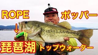 【琵琶湖】【ROPE ロペ】広大な琵琶湖からポッパーでバスを探し出せ！バス釣り トップウォーター バイトシーン  ラインスラック