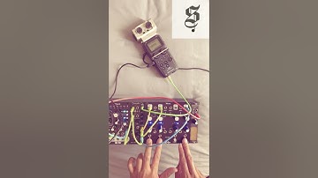 Finger Drumming in Eurorack with Qu-Bit Wave