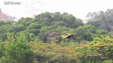 HeliPal.com -  Walkera V200D01 Outdoor Flight