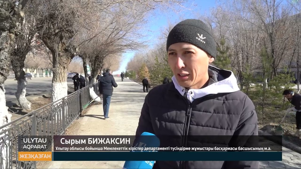 Жалпықалалық сенбілік