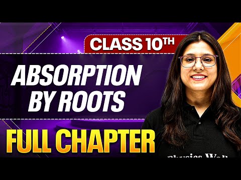 ABSORPTION BY ROOTS
