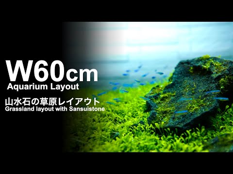 水草しげる -Mizukusa Shigeru- - YouTube