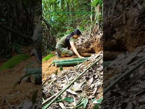 How to dig
