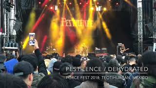 Pestilence Playing Dehydrated Live At Force Fest 2018; México