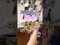 汚部屋は風水コンプリートしてる説
