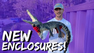 Insane Crocodile Facility In Florida! | Primitive Predators