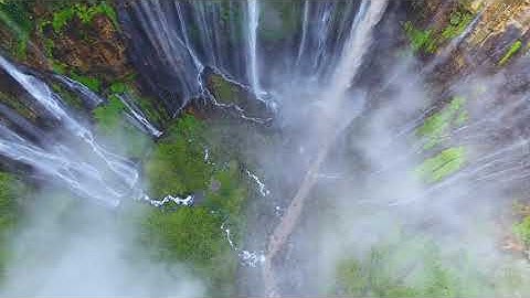 ChatGPT Plugin CoderPad. #chatgpt #plugins