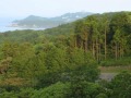 贈る言葉  海援隊