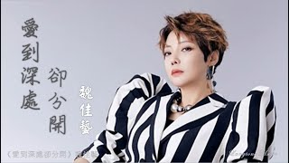 愛到深處卻分開 Ai dao shen chu que fen kai 魏佳藝 Wei Jia Yi #動態歌詞 Pinyin/Lyrics Music