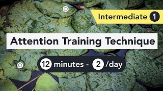 Attention Training Technique (ATT) in Metacognitive Therapy. (Intermediate 1)