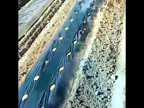 Бугры для посадки клубники,капельный полив - YouTube