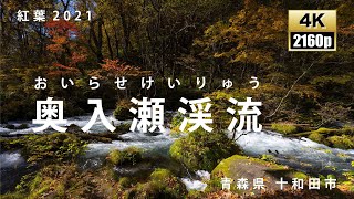 奥入瀬渓流　青森県十和田市