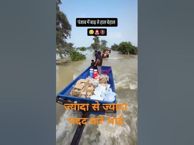 पंजाब के लोगों कि मदद करें🙏 #short#viral#video#funnydaud