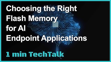 Choosing the Right Flash Memory for AI Endpoint Applications