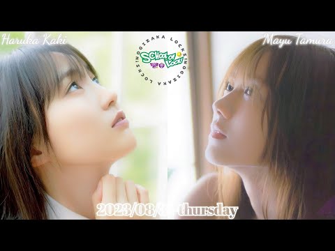 ♡MANA♡ ミニスカ 賀喜遥香 田村真佑 井上和 コンプ 田村真佑 #賀喜遥香 #乃木坂46