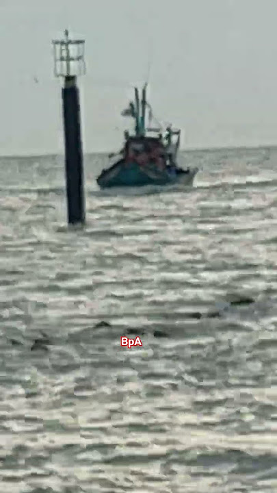 balik kedapatan angin kengcang #suara #terbaik #didunia #shorts #trending #viral