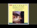 Piano concerto no 1 in d minor op 15 i maestoso