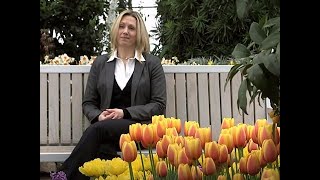 Approaching Your Final Days- Role of a Pre-planning Specialist