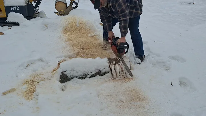 2149 ruff tune in and test cuts Oregon safety chain