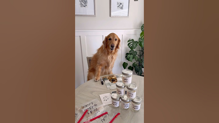 My dog sold what?!