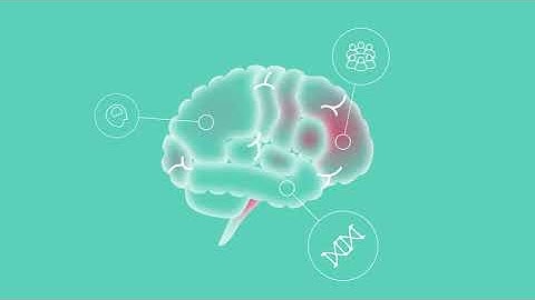 What causes Functional Neurological Disorders?